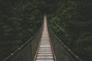 hanging bridge lined with trees at daytime